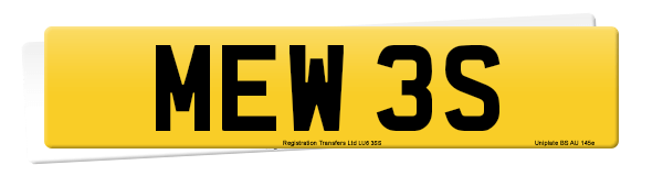 Registration number MEW 3S
